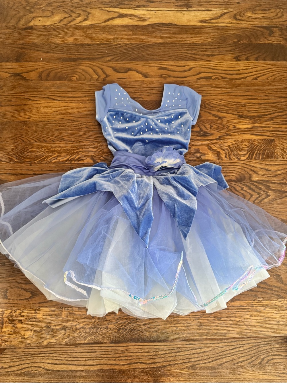 Weissman Light Blue Velvet and Tulle Princess Dance Costume
